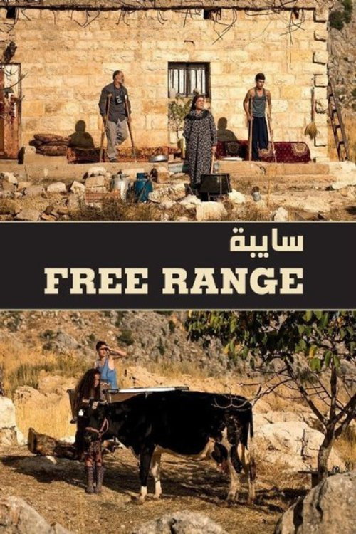 سايبة